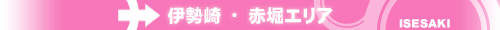 伊勢崎エリア 伊勢崎エリア